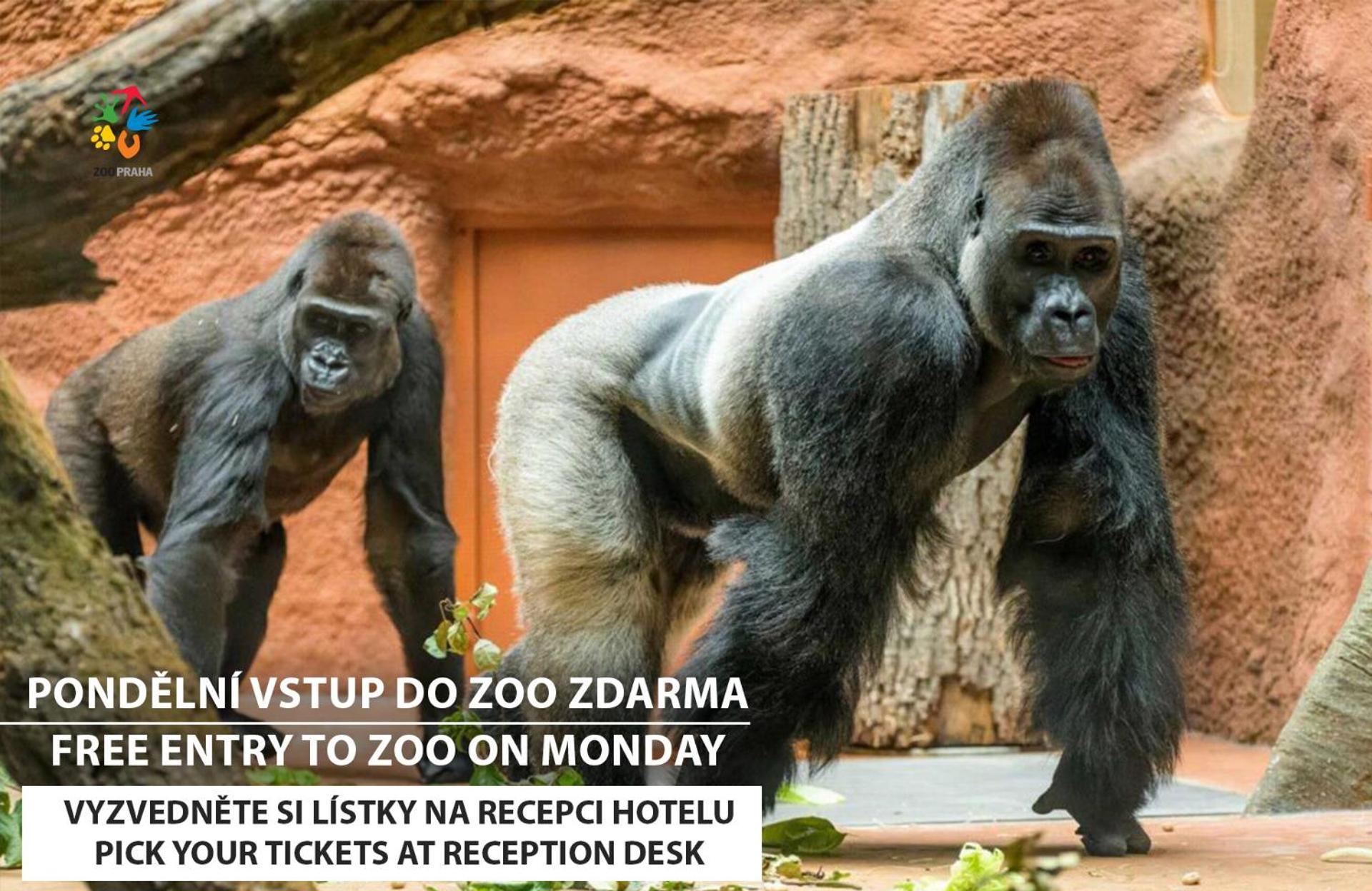 Отель Plaza - Czech Leading Прага